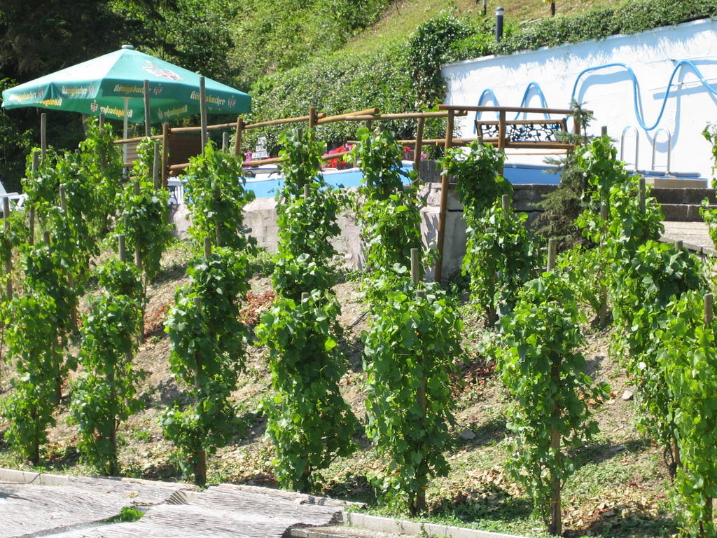 Landhotel Weinhaus Treis Weinaehr ภายนอก รูปภาพ